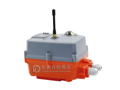 06-11R����������