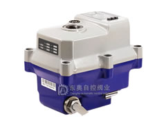 02TEX�����{����